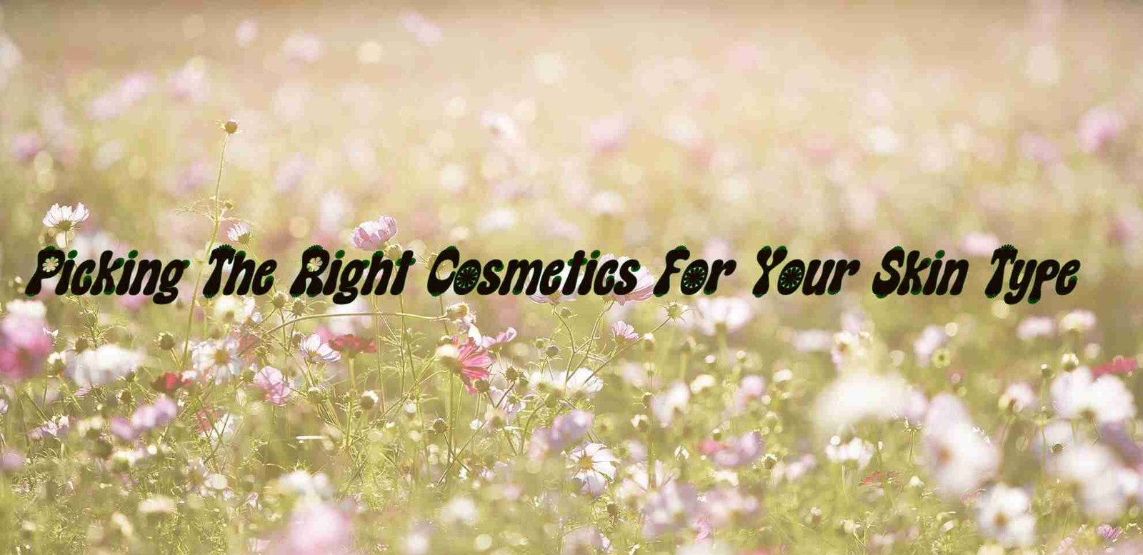 Tips For Choosing The Right Cosmetics For Your Skin Type