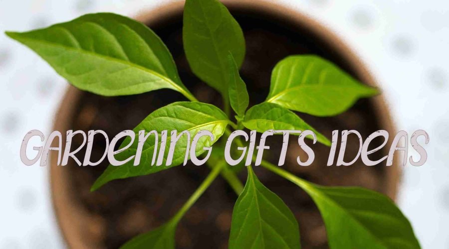Gifts Ideas for the Gardener in Your Life