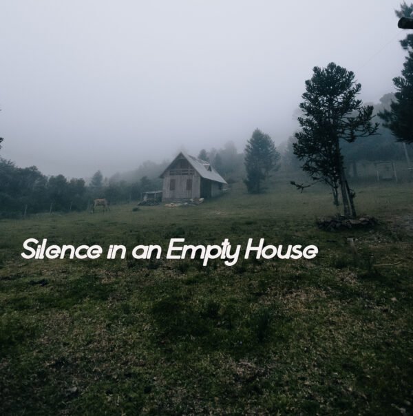 Silence in an Empty House – Poem by Kim Snyder