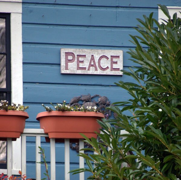 Quiet Daily Rituals That Help You Feel More Centered