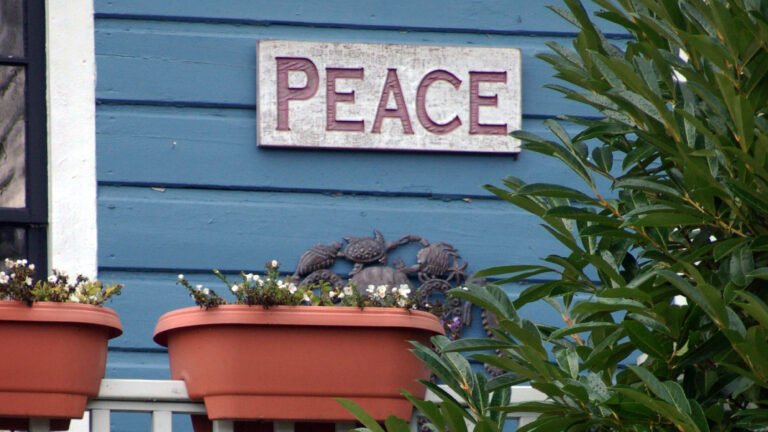 Quiet Daily Rituals That Help You Feel More Centered