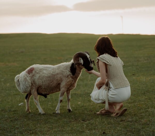 Why Is It Healthier to Go Organic?